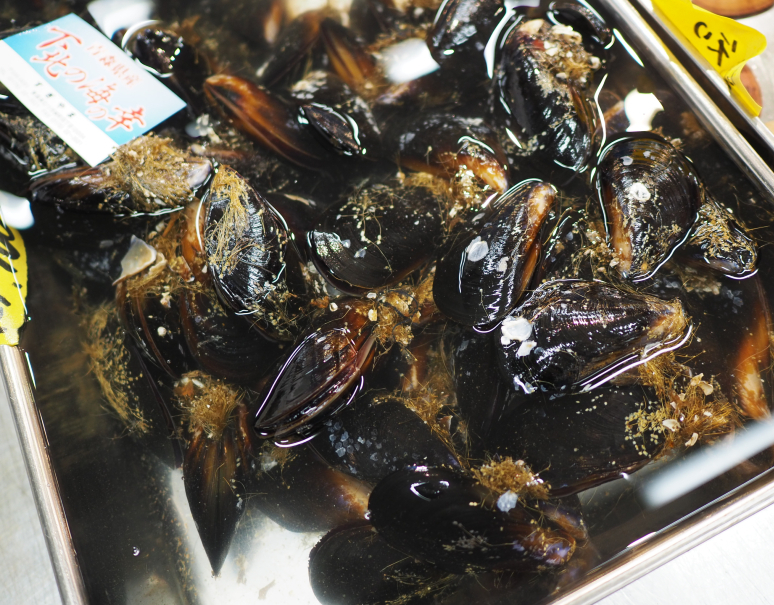 活 ムール貝 青森県産 大サイズ 約1kg 50g 100g 個 冷蔵 三清 豊洲市場ドットコム