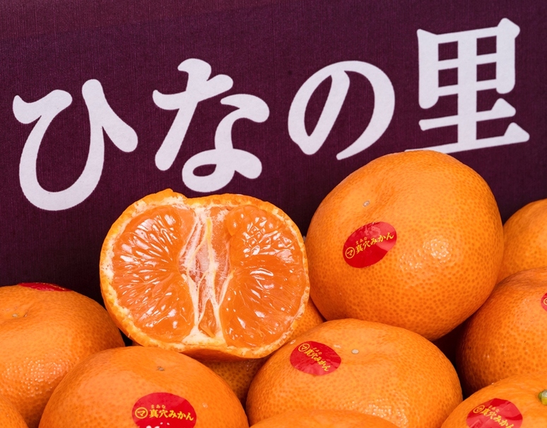 Jaにしうわ 真穴共選 真穴みかん ひなの里 愛媛 西宇和産 M Lサイズ 約5kg 風袋込 常温 豊洲市場ドットコム