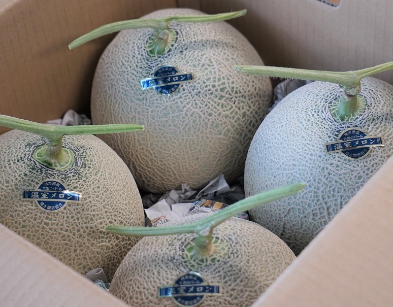 植木園芸組合 『アールスメロン(青肉)』熊本県産 約5kg (4玉入り) ※常温|豊洲市場ドットコム 植木園芸組合 『アールスメロン(青肉)』熊本県産 約5kg (4玉入り) ※常温|豊洲市場ドットコム