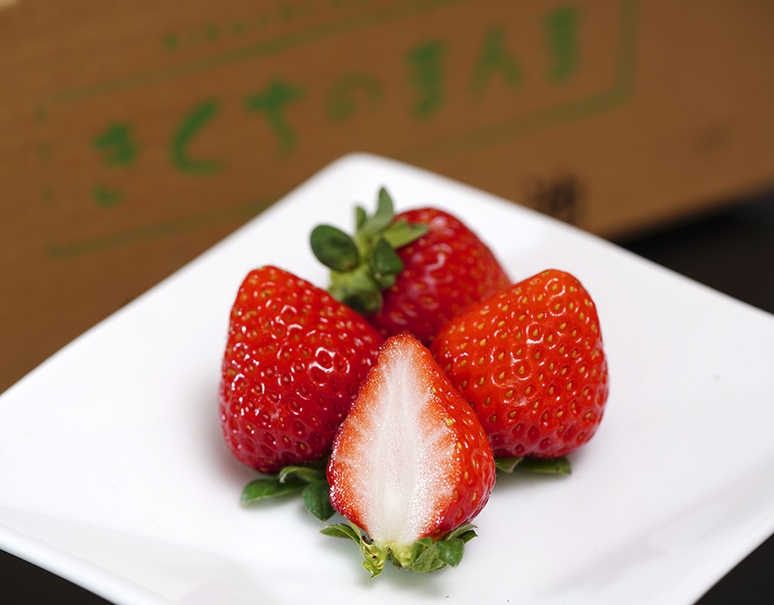 ひのしずく 熊本県産 いちご 2p 計約550g 冷蔵 定松 豊洲市場ドットコム