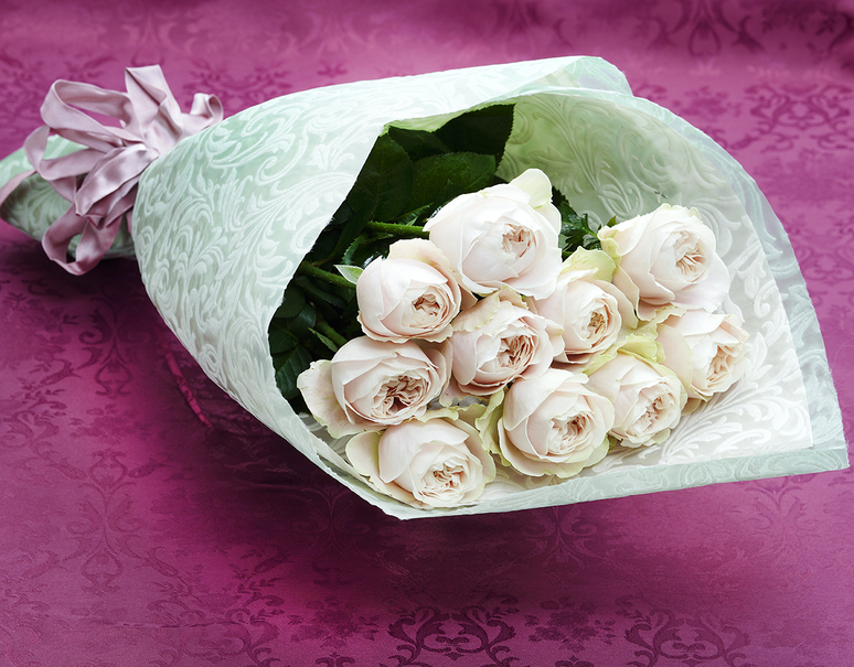 希少品種 齋藤さんの シフォンベール 白薔薇 10本 ラッピング付き 冷蔵 80万人記念 豊洲市場ドットコム