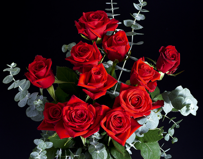 最愛のバラ花束 赤いバラ11本 グリーン2本の花束 ラッピング済 冷蔵 豊洲市場ドットコム