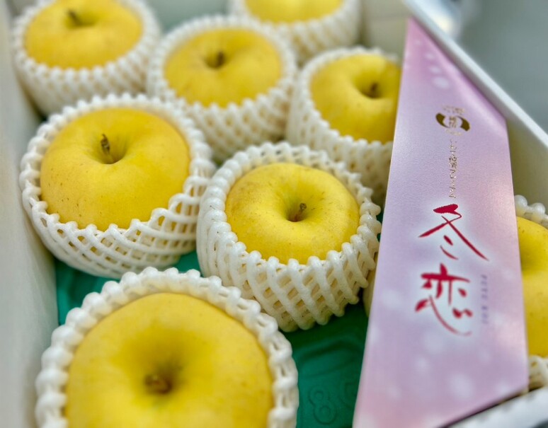 最終】冬恋（はるか）！毎年完売！岩手県産家庭用りんご2kg以上